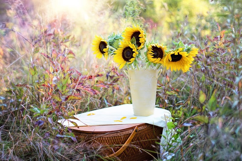 Egg Carton Flowers